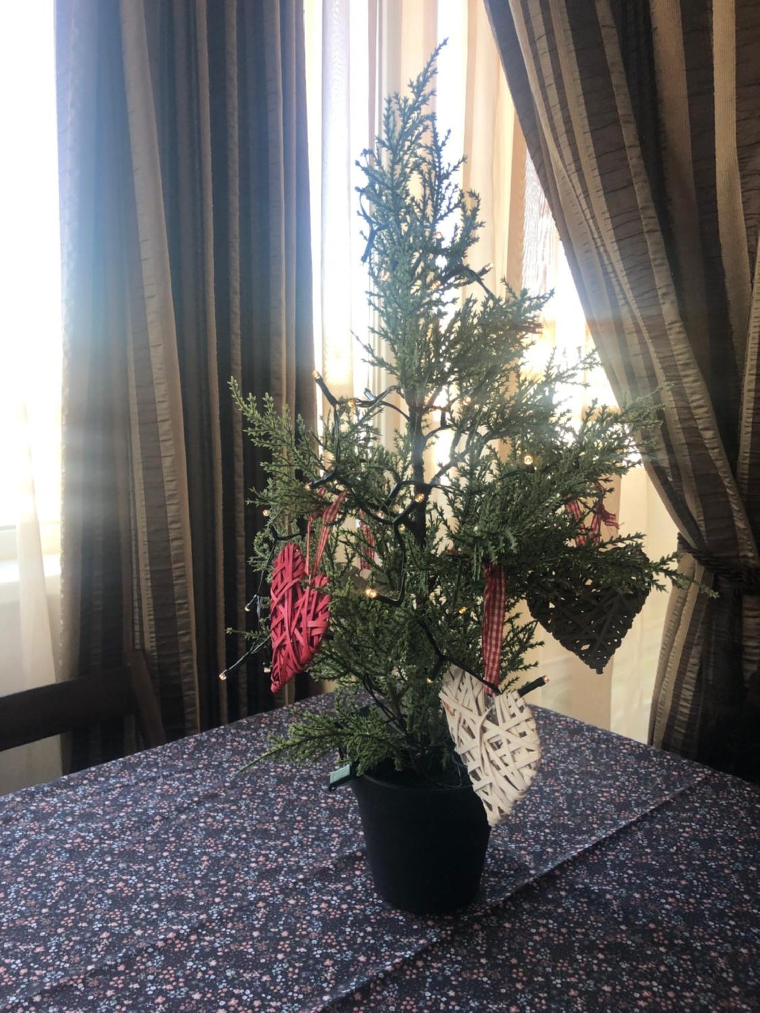 Family Retreat Politehnica Park Leilighet Bucureşti Eksteriør bilde